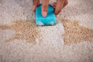 Carpet Stain Removal