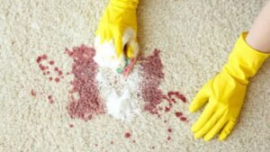 Carpet Stain Removal